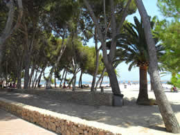 Trees providing shade on part of the beach